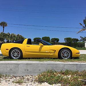 C5 Zo6 Chrome wheels florida-35350531_207517243397391_1410658665223946240_n.jpg