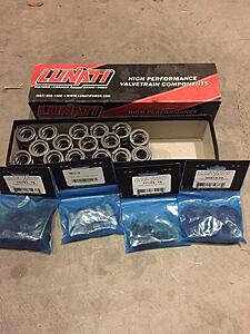 243 Heads &amp; LS6 Intake w/ Throttle Body &amp; Lunati Voodoo Spring Kit-sftialkl.jpg