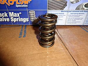 317 heads, PRC .660 dual springs, alternator-vieidrn.jpg