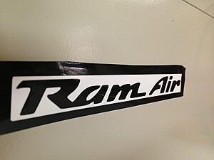 Trans Am Ram Air Decals Set-mhnobezl.jpg