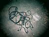 Wtb- ls1 engine and trans harness.-ls-harness-ext-o2-s.jpg