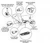 1998 trans am pcm diagram help!!!-transdiag.jpg