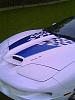 Racing Stripes on TAs...-36202036997_0_1.jpg