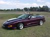 anyone looking for a purple trans am???-katie-topless-2.jpg