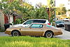 Post a pic of your Trans Am/Firebird!-img_6788ed.jpeg
