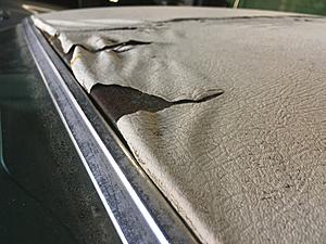 Advice on repairing a super original 1975 Firebird hood and vinyl top?-car9.jpg