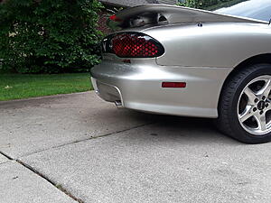 what did you do to your firebird today?-wwww691.jpg