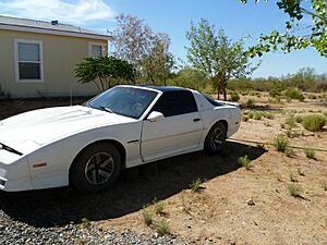 1989 Pontiac Firebird SSA ???-imvgphz.jpg