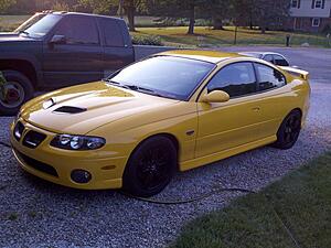 04 Yellow Jacket GTO-r5h9jl.jpg