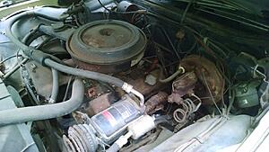 Hoping to ID powerplant in '70 Impala-vrwqrcv.jpg