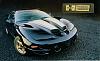 black and gold trans ams who made them????-car-pics-222.jpg