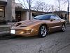 GOLD TRANS AMS AND WS6s-p2270009.jpg