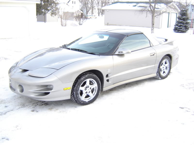 Name:  transam1.jpg
Views: 876
Size:  57.5 KB