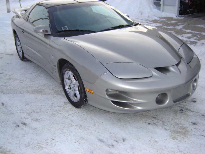 Name:  transam.jpg
Views: 868
Size:  66.6 KB