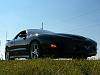 1999 Firehawk for sale (20,500 miles)-hawk.jpg