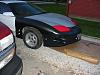 2000 Trans Am &amp; 1995 Firebird-bird_01.jpg