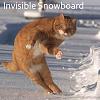 Just Burnt a GSX-R-lolcat_invisible_snowboard.ashx.jpg
