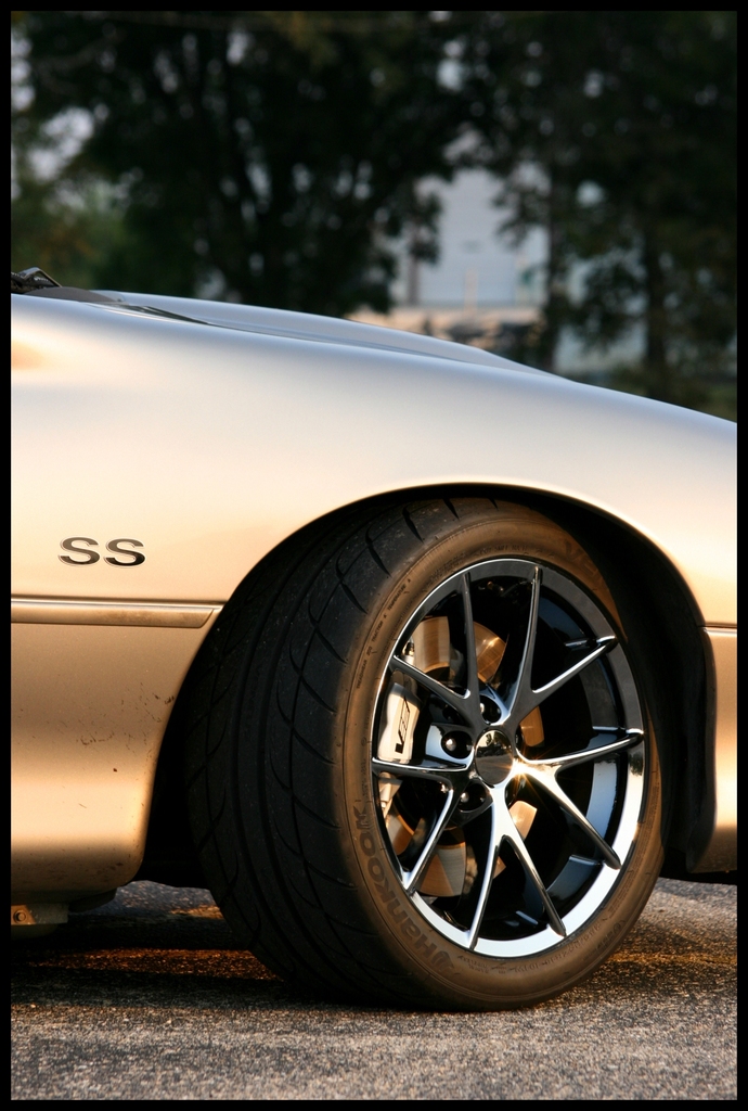 Name:  NEW%20WHEELS%202_zpsk4hxhkm4.jpg
Views: 1710
Size:  392.6 KB