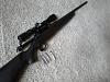 Remington 770 .243 - Deer/Small game rifle-sspx0484.jpg