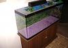 FS: 50 gallon fish tank and stand-dsc02519.jpg