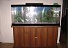 FS: 50 gallon fish tank and stand-dsc02518.jpg