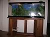 FS: 50 gallon fish tank and stand-dsc02521.jpg