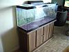 FS: 50 gallon fish tank and stand-dsc02522.jpg