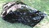 FS: Black Firebird Hood-firebird.hood-3-large-.jpg