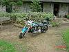 FS: 1995 Harley Davidson-mvc-002s.jpg