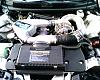 For Sale: Hardtop 02 SS Supercharged DFW-supercharger.jpg