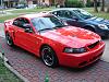 Anyone have a stang thats interested??-cobra-1.jpg