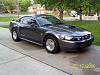 04 LSx Mustang-norm-4.jpg