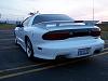 02 Artic White WS6 for trade-trans-am-12pc.jpg