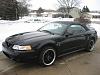 FS/FT 1999 Ford SVT Cobra-img_1694.jpg