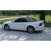 1999 mustang gt for sale or trade-1mustang.jpg