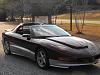 Pro Am 3 Firebird RARE!!!-firebird-2.jpg