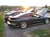 1994 Procharged Trans Am-40306_457435838572_647438572_6156195_686394_n.jpg