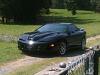 2001 Trans Am WS6-picture-068.jpg