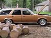 1980 Ford Fairmont WAGON SOLD SOLD-july-12-018-2.jpg