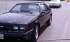 1985 Mustang GT low miles!-424225_4530445824561_1293178992_n.jpg