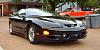 2000 Trans Am Bk on Bk 6Spd-davesta1.jpg