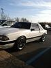 1989 mustang coupe clean!!-155459_541899462505250_825274160_n.jpg