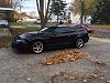 1999 svt cobra illinois ( will trade) updated look!!!-photo.jpg