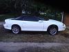 2002 Camaro(Arctic White) Roller-dsc03108.jpg