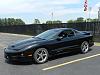 2001 Firehawk T/A 1LE-image.jpg