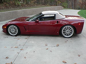 07 Corvette Convertible 3LT Z51-p1000606.jpg