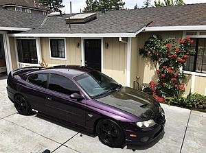 2004 Pontiac Gto - Cosmos Purple-290f7310-8852-443f-8bdf-6e90ae83602d.jpeg