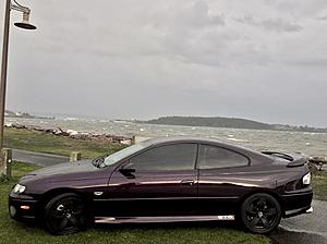 2004 Pontiac Gto - Cosmos Purple-ebd55d99-479a-4b75-90fb-3e7c9601e628.jpeg