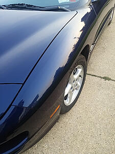 Unmolested 2000 Trans Am 15k Miles LS1/Auto-f8lyopc.jpg