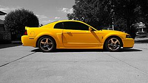 -= FS: 2004 SVT Cobra, 600whp, built motor, turn key 10 second car =--xzjwxag.jpg